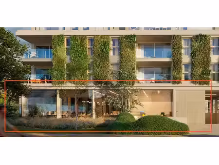 bien commercial à vendre à schelle pour € 809.500