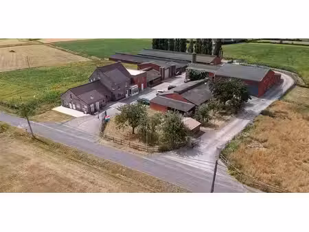 ferme à vendre à lichtervelde pour € 795.000 avec 10 chambres à coucher