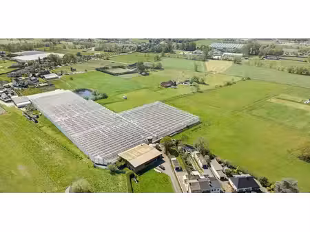 terrain agricole à vendre à duffel pour € 850.000