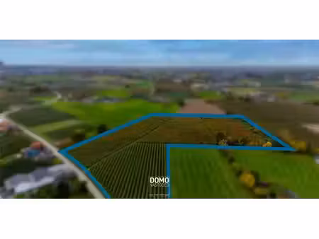 terrain agricole à vendre à herk-de-stad pour € 802.906