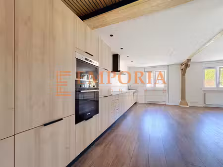 appartement f4 95m2 en location à hirsingue