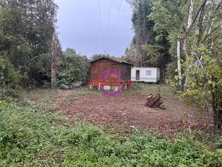 bord de loir ( coin de pèche) avec mobil home