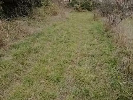 terrain constructible