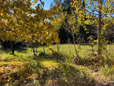terrain 500 m2 constructible