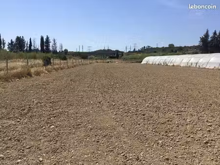 terrain agricole