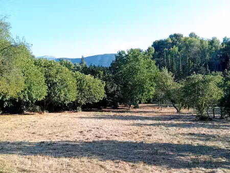 terrain à bâtir à buis-les-baronnies (26170)