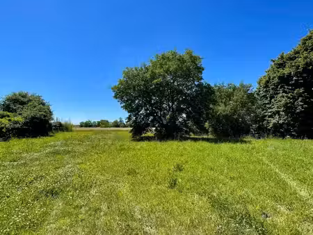 terrain à vendre bressols 1954m2 159 900€
