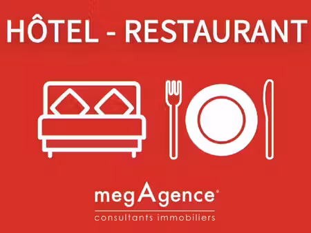 roland brzoza consultant megagence