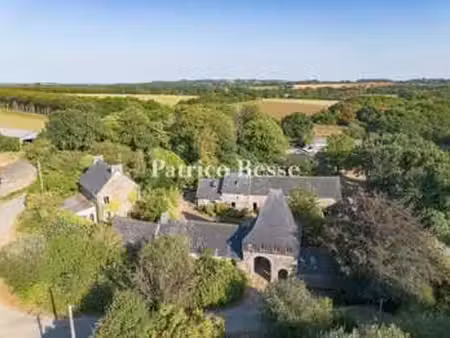 vente maison à guerlédan (22530) : à vendre / 370m² guerlédan