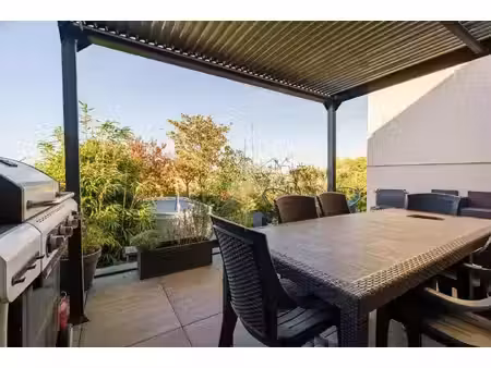 rose immobilier