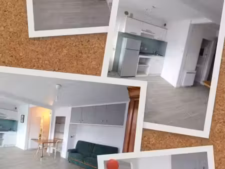 location appartement meublé  rez de jardin  terrasse