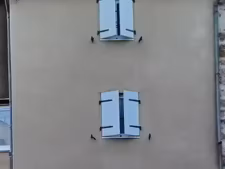 location maison centre ville
