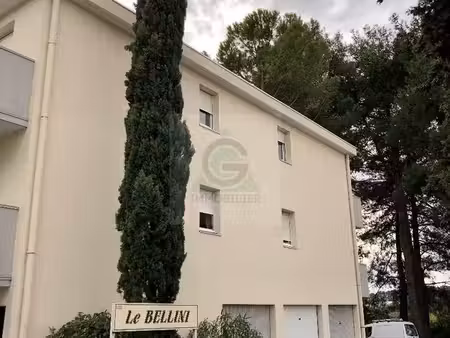 studio 1 pièce 20 m²