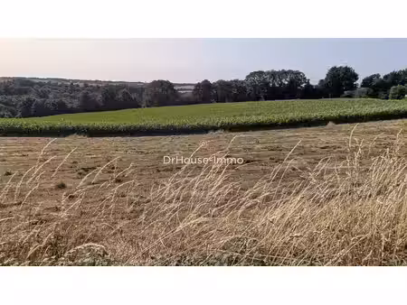 terrain borné et viabilisé sur langolen