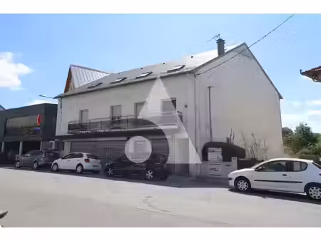 immeuble lannemezan 228 m² habitables et 170m² commerciaux