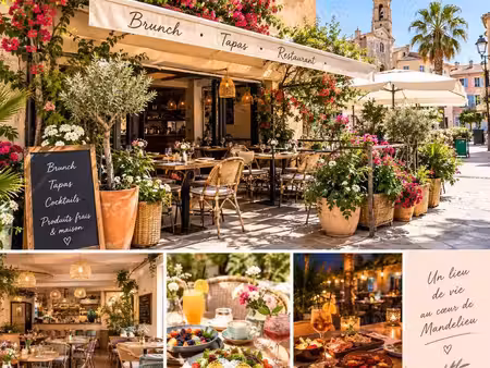 vente commerce mandelieu-la-napoule (06210)