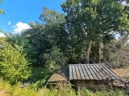 vente terrain à quimperlé (29300) : à vendre / 985m² quimperlé