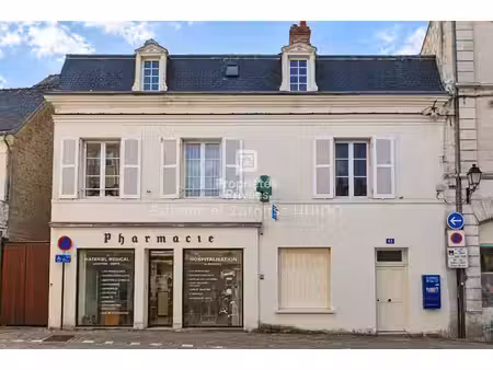 exclusivité - immeuble chatillon sur indre 9 pièce(s) 238 m2