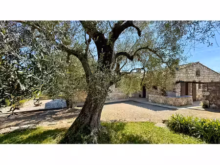 tourrettes-sur-loup - les berguières - propriété de charme à moderniser 7p 215m2 - jardin 