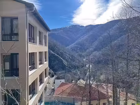 vente appartement 2 pièces 41 m² à prats-de-mollo-la-preste (66230)  55 000 €