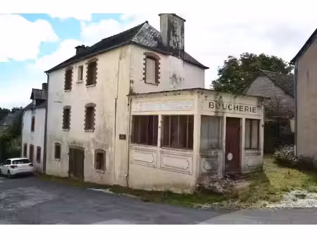 achat maison 5 pièces 110m² merleac 22460