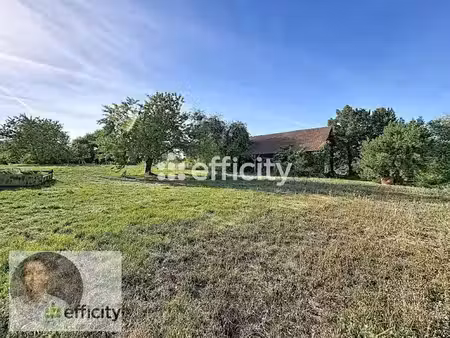 vente terrain 2400 m² à brugheas (03700)  45 000 €