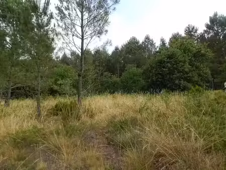 vente terrain 1800 m² à estigarde (40240)  28 000 €