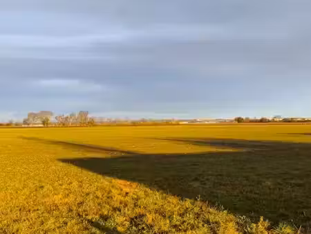 vente terrain 890 m² à sainte-lheurine (17520)  11 000 €