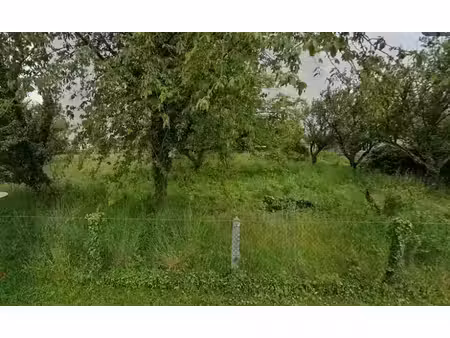 vente terrain 1000 m² à bruère-allichamps (18200)  17 000 €