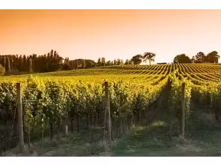 vente terrain 1520 m² à champagnac (17500)  18 000 €