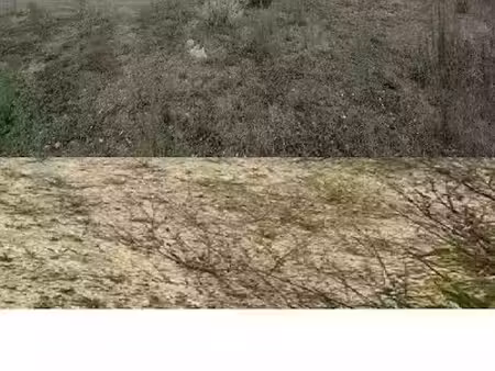 vente terrain 500 m² à marseillette (11800)  19 900 €