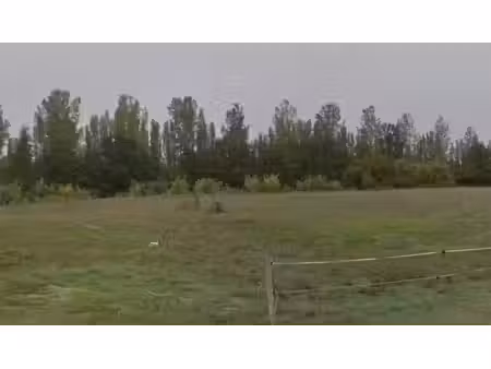 vente terrain 1500 m² à miramont-de-guyenne (47800)  26 000 €