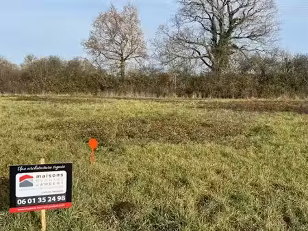 vente terrain 388 m² à melay (49120)  38 800 €