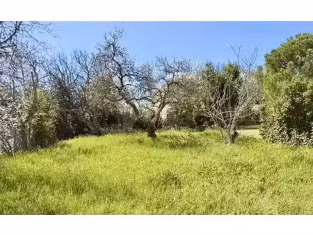 vente terrain 580 m² à alaigne (11240)  43 000 €