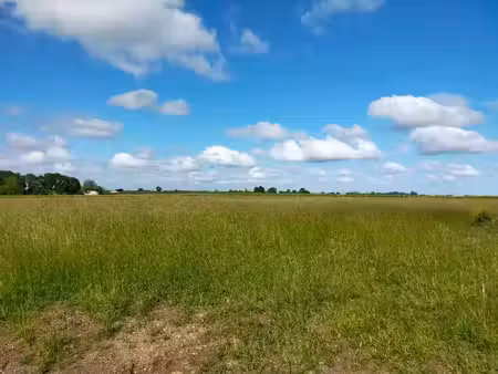 vente terrain 1350 m² à saint-brice (16100)  40 000 €