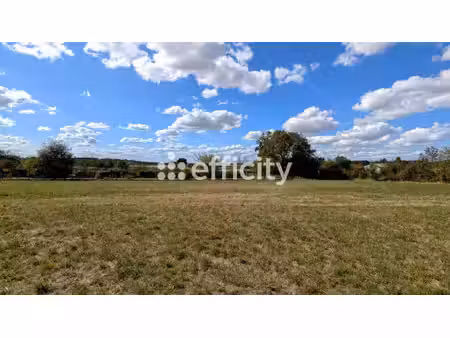terrain - 6590 m²