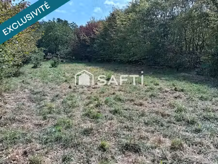 vente terrain 1246 m² sancoins (18600)