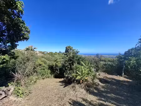 achat terrain 1 290m² st louis 97450
