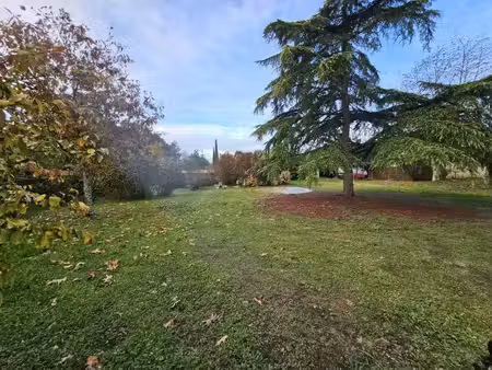 vente terrain 1000 m² quinsac (33360)