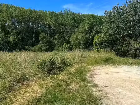 vente terrain 590 m² saint-germain-du-puch (33750)