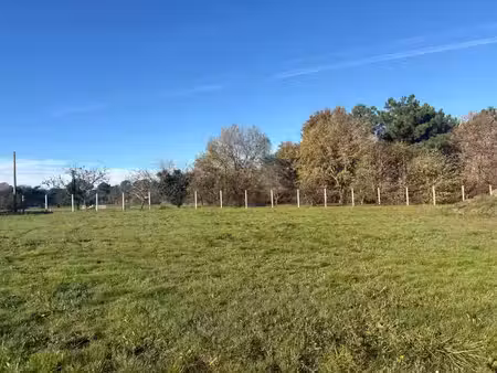 vente terrain 1100 m² saint-magne-de-castillon (33350)