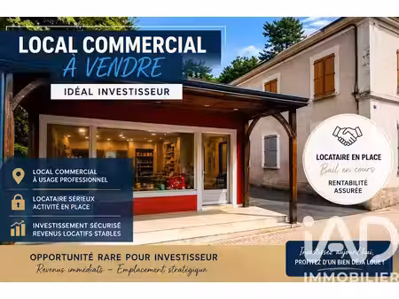 vente locaux professionnels 0 pièces 142 m² à nogent-sur-loir (72500)  79 800 €