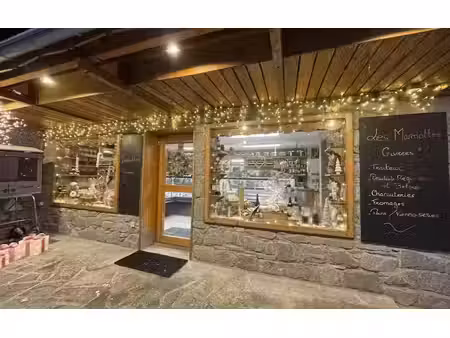 vente locaux professionnels 0 pièces à la plagne (73210)  111 000 €