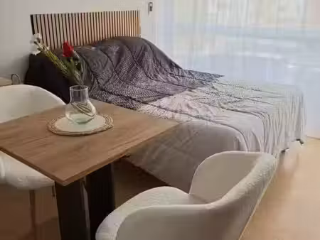location appartement 1 pièce 20 m² à agde (34300)