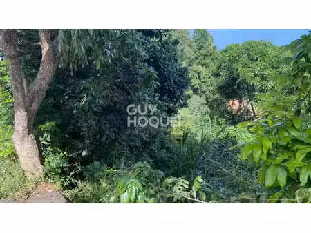 terrain constructible 300m2 - entre deux-ravine des citrons