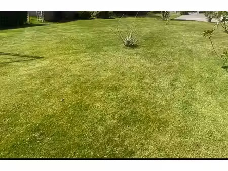 terrain
