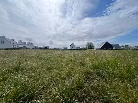 terrain