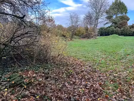 terrain