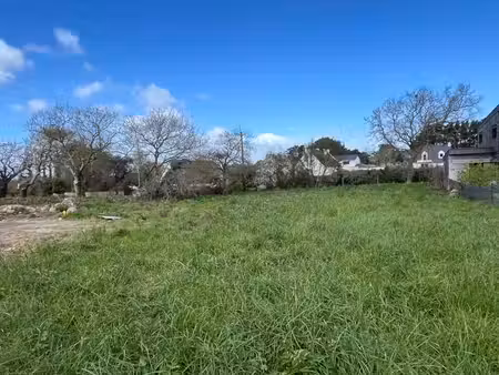 terrain