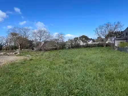 terrain